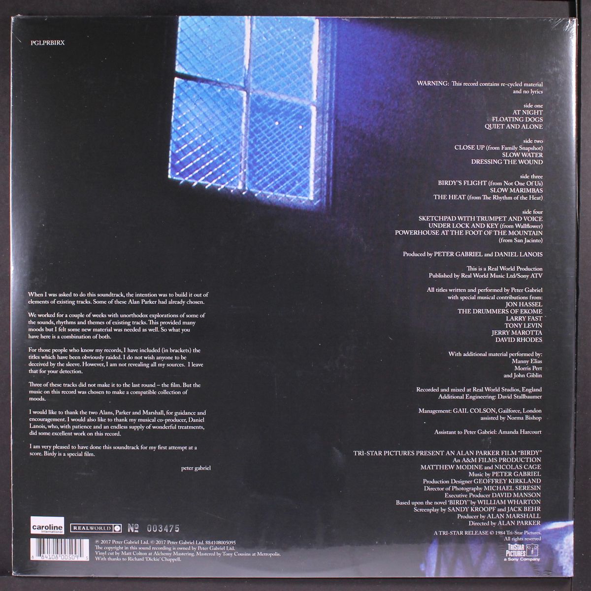 birdy by PETER GABRIEL