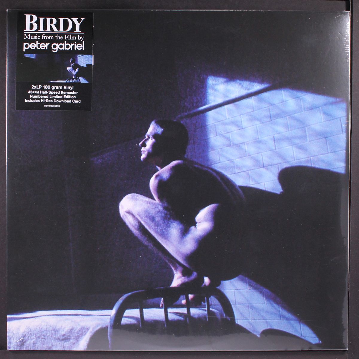 birdy by PETER GABRIEL