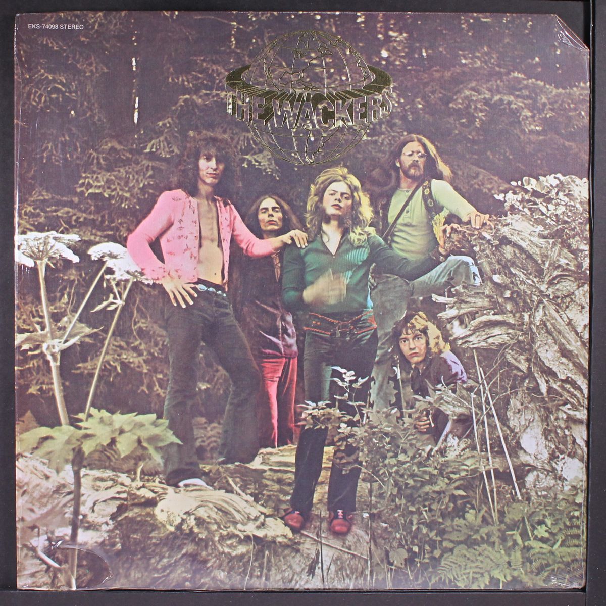wackering heights by WACKERS