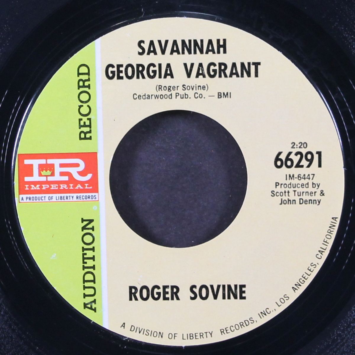 savannah georgia vagrant / culman, alabama by ROGER SOVINE