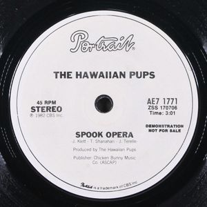 HAWAIIAN PUPS