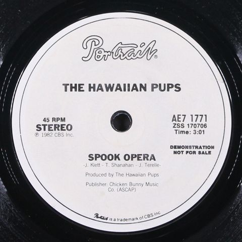 HAWAIIAN PUPS