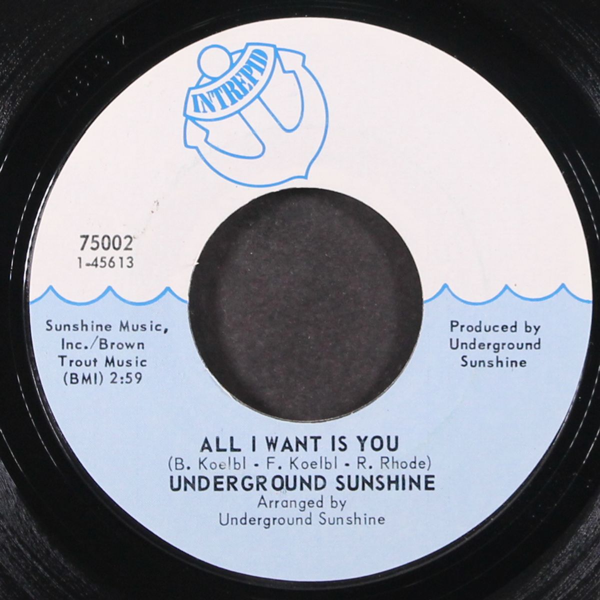 birthday / all i want is you by UNDERGROUND SUNSHINE