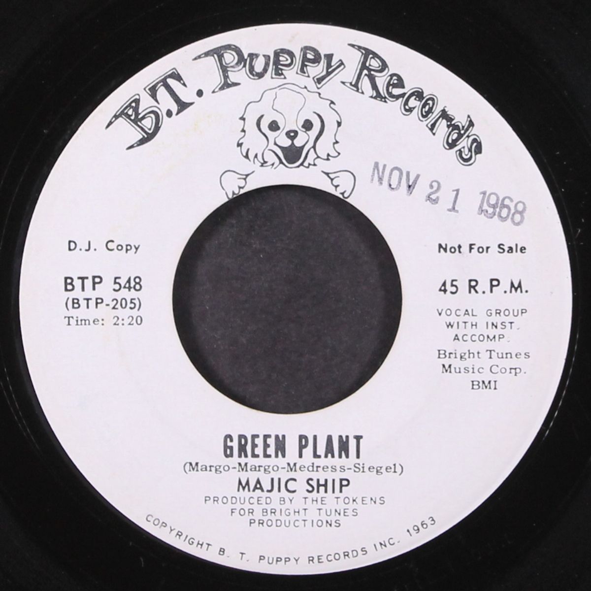 green plant / night time music by MAJIC SHIP