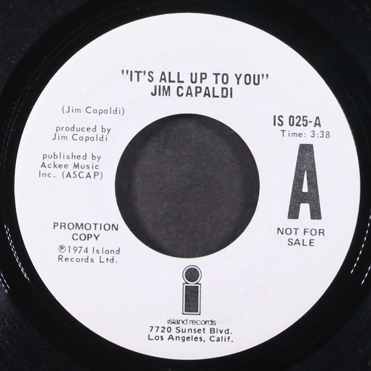 it's all up to you by JIM CAPALDI