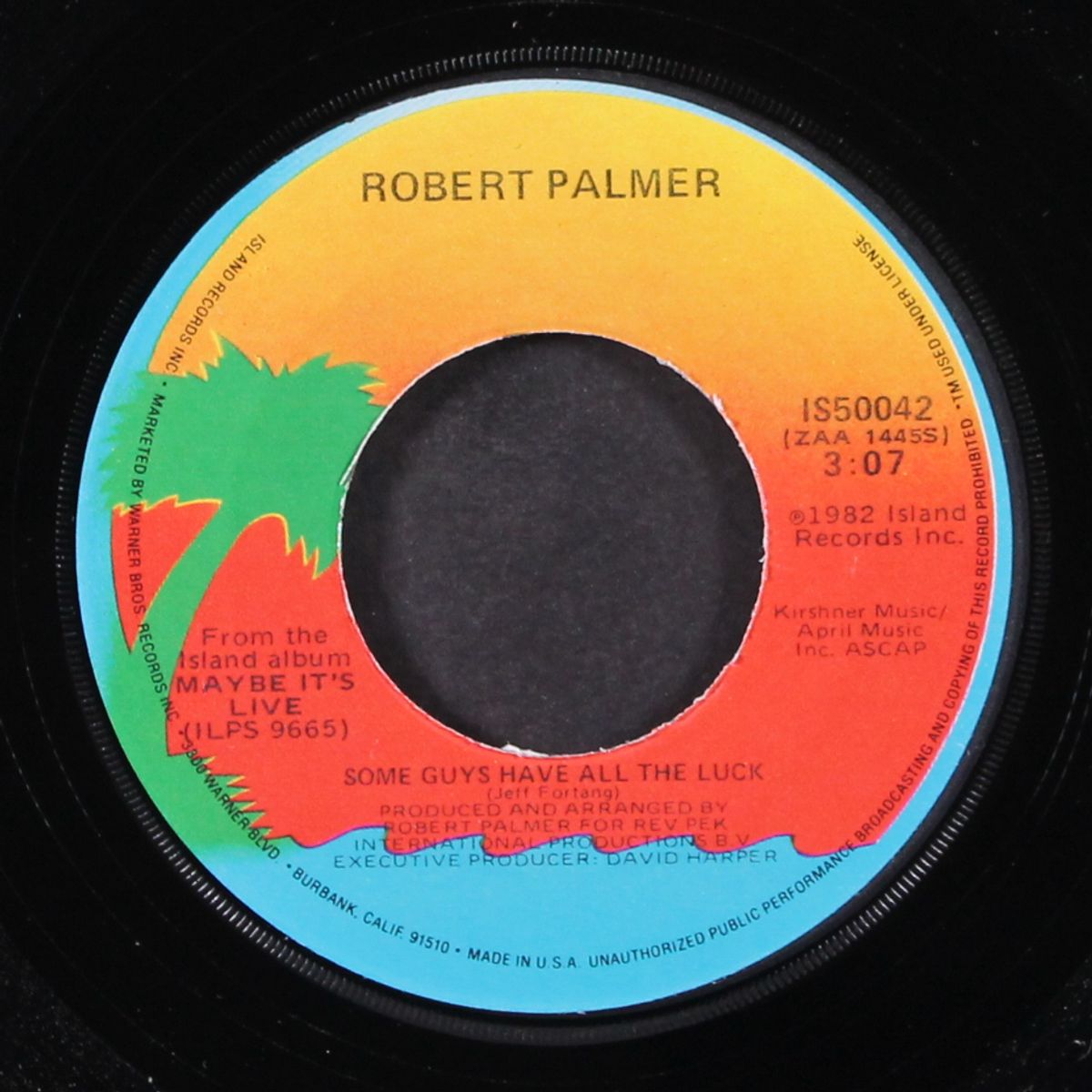 some guys have all the luck by ROBERT PALMER