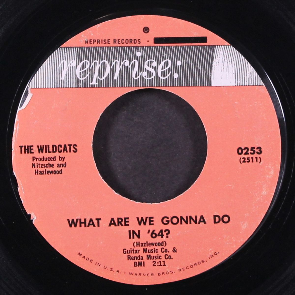 3625 groovy street / what are we gonna do in '64? by WILDCATS
