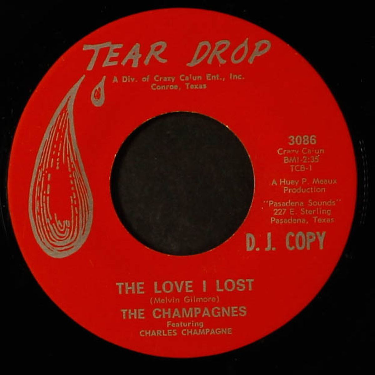 i love the go go girls / the love i lost by CHAMPAGNES