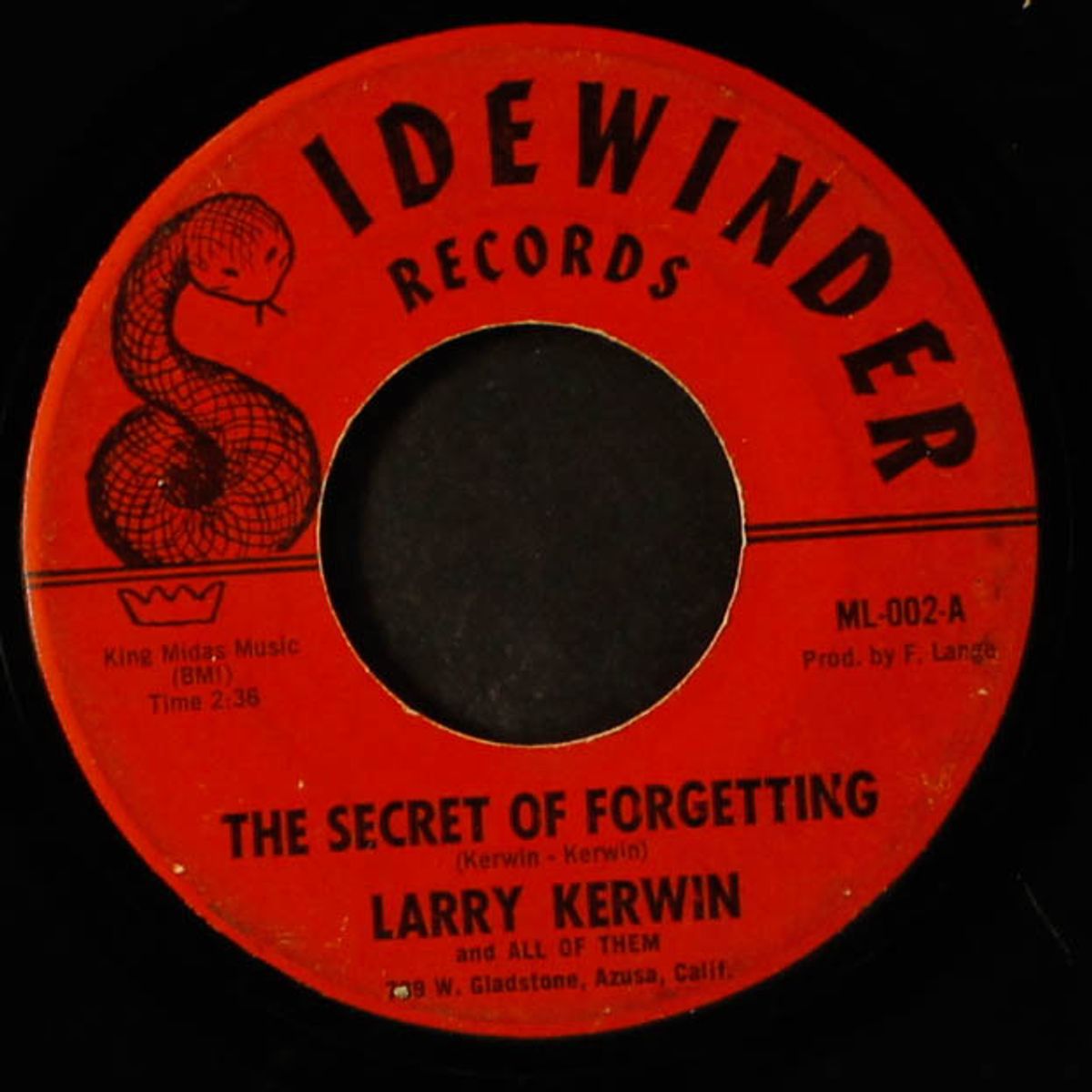 making vows / the secret of forgetting by LARRY KERWIN