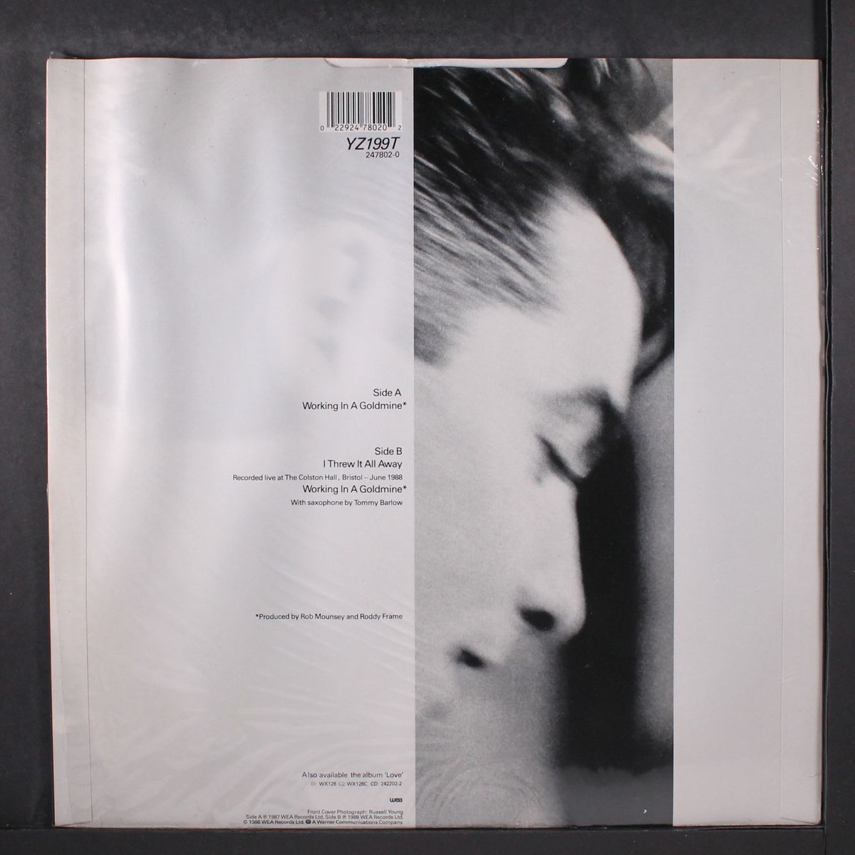 working in a goldmine by AZTEC CAMERA