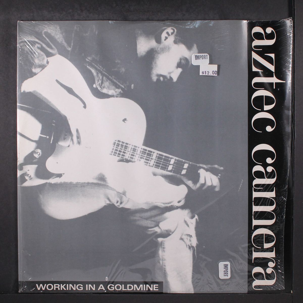 working in a goldmine by AZTEC CAMERA