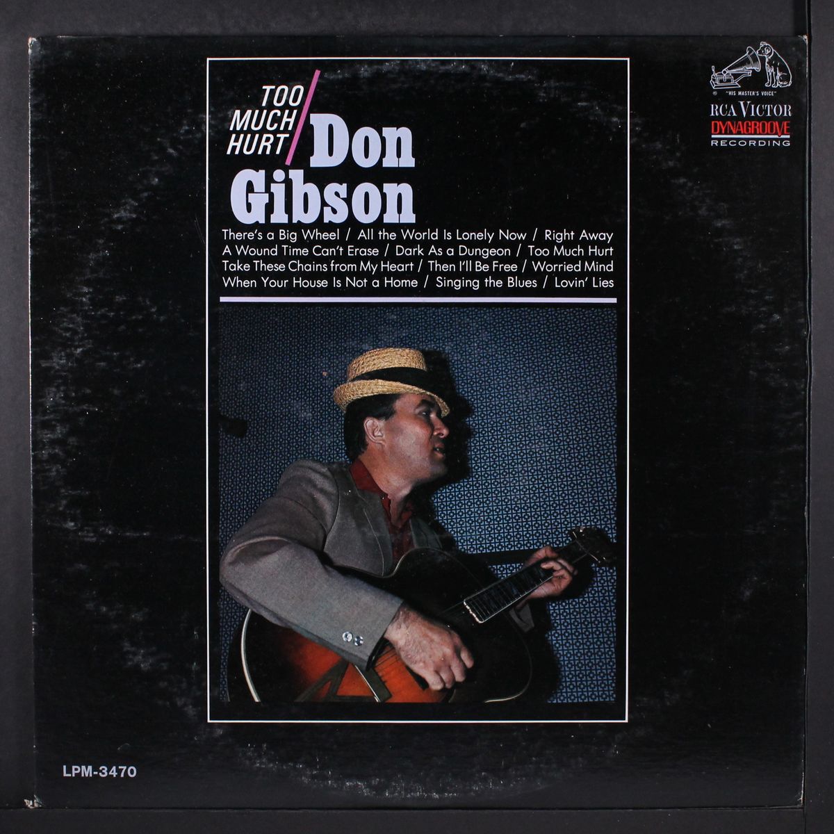 too much hurt by DON GIBSON