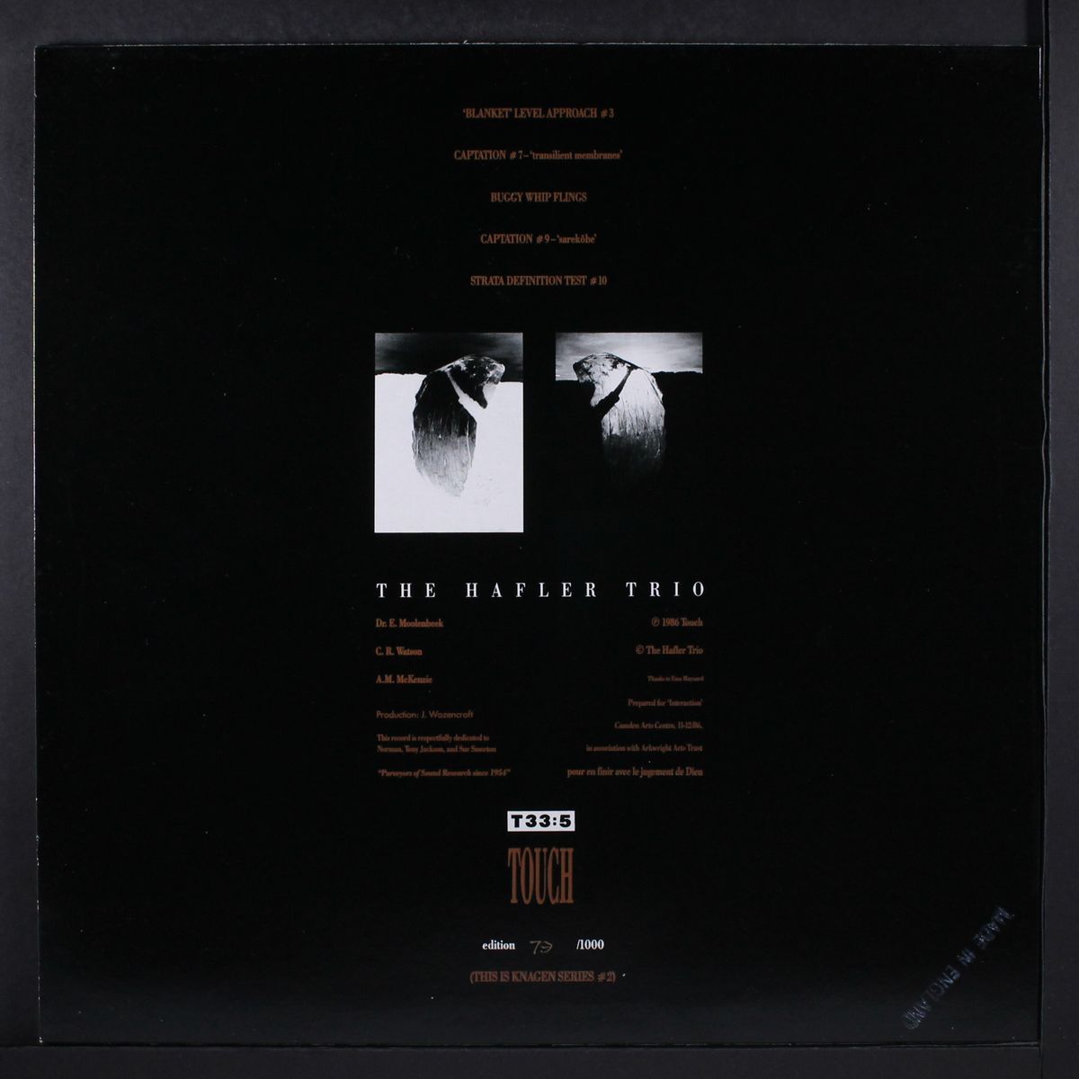 brain song by HAFLER TRIO