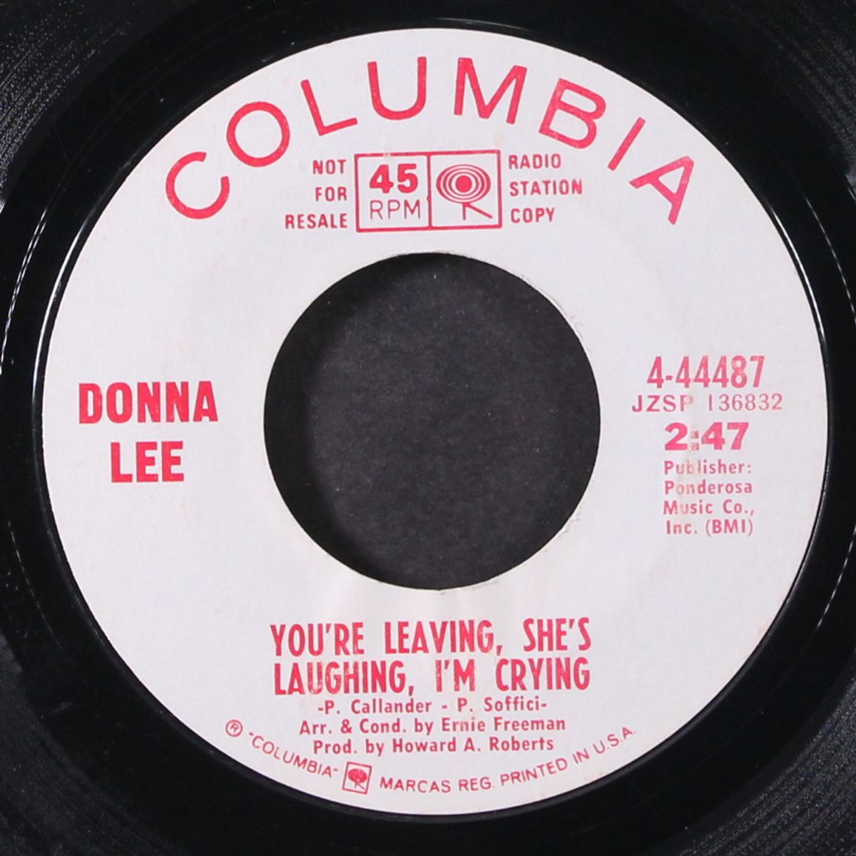 i won't let myself go running back to you by DONNA LEE
