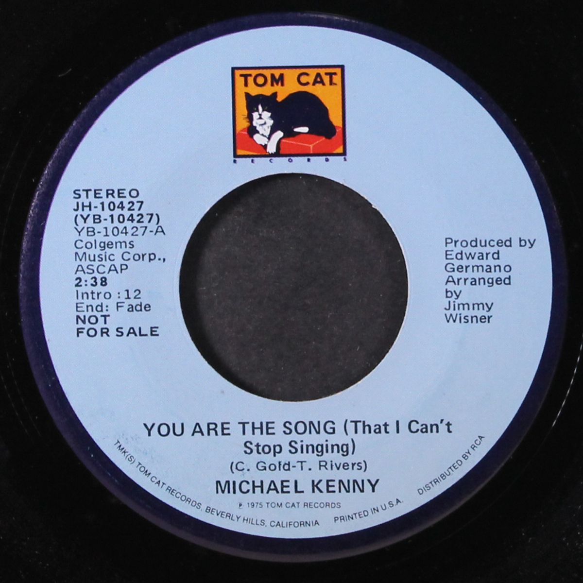 you are the song (that i can't stop singing) by MICHAEL KENNY