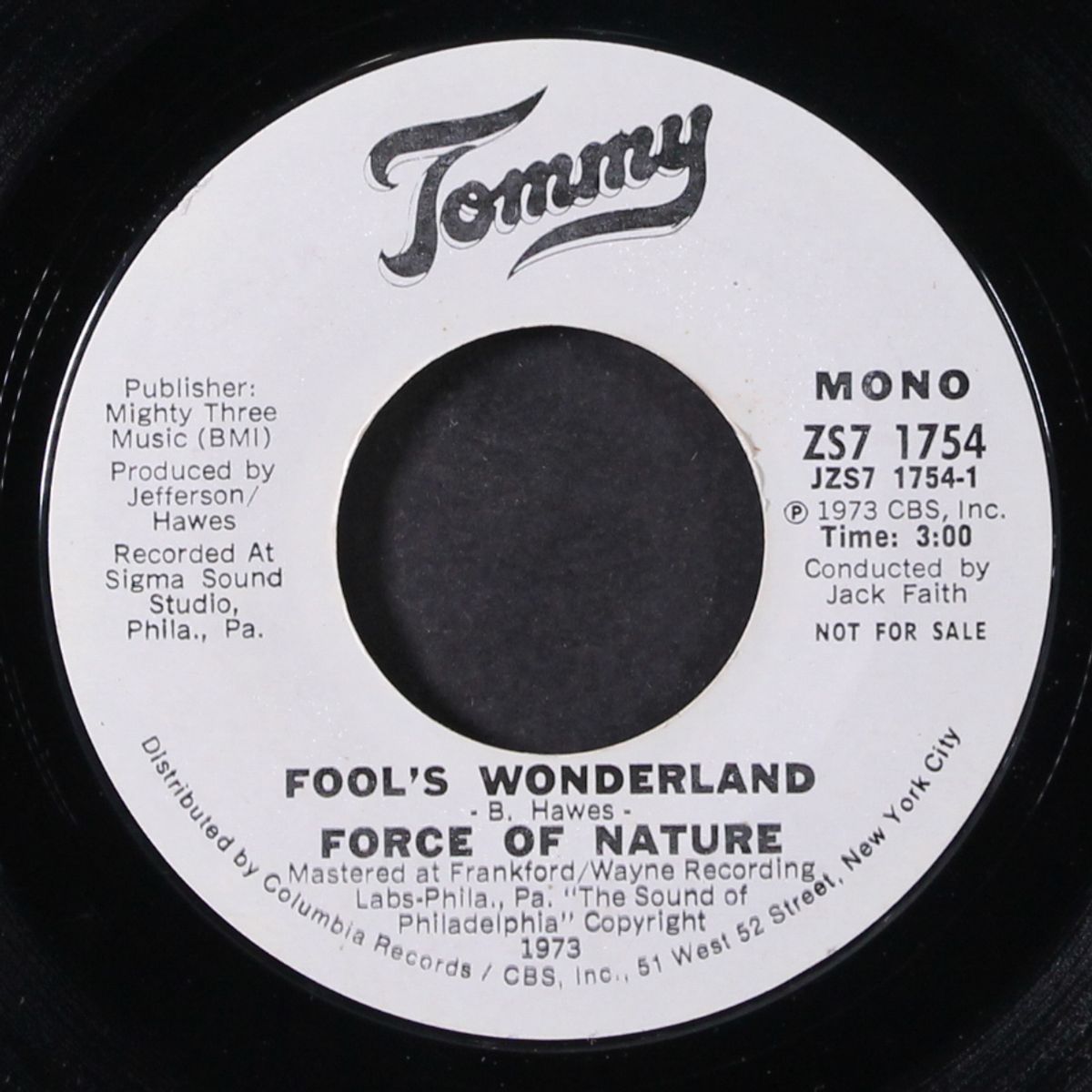 fool's wonderland / mono by FORCE OF NATURE