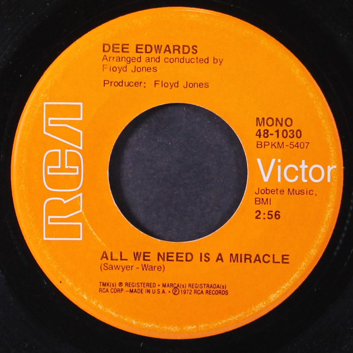 all we need is a miracle by DEE EDWARDS