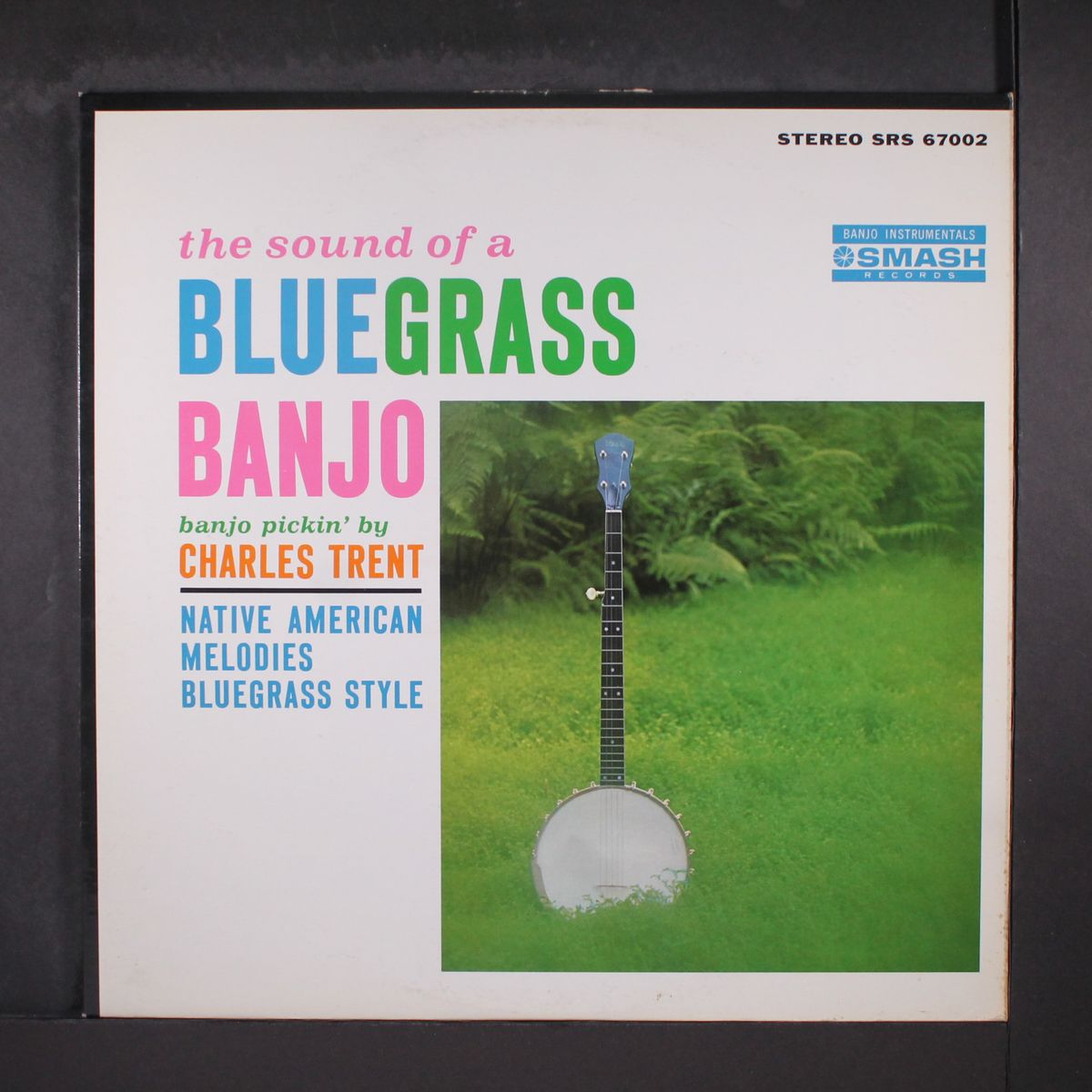 the sound of a bluegrass banjo by CHARLES TRENT