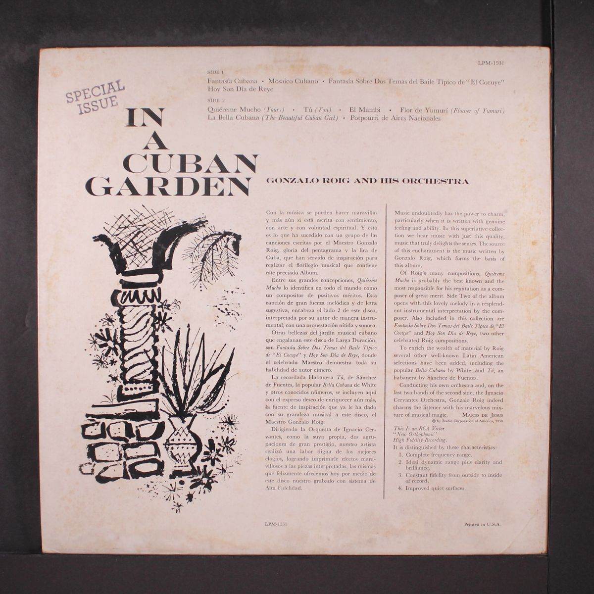 in a cuban garden by GONZALO ROIG