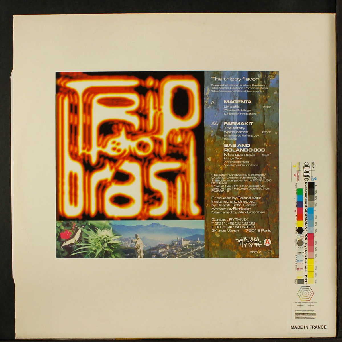 trip do brasil the trippy flavour by VARIOUS