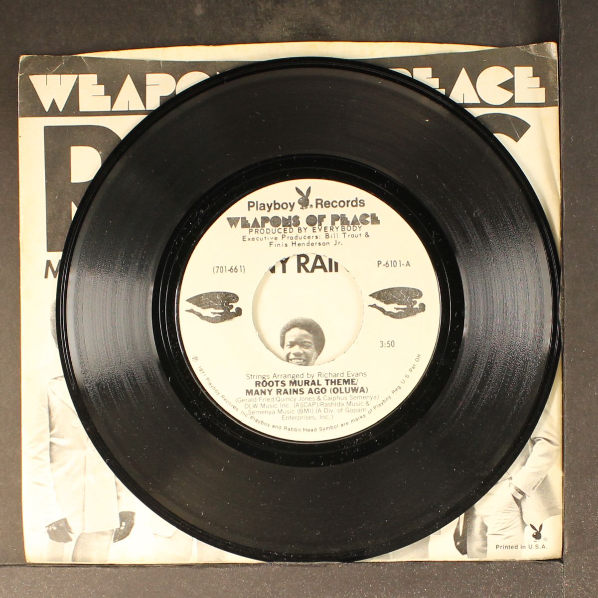 roots mural theme / this life's by WEAPONS OF PEACE