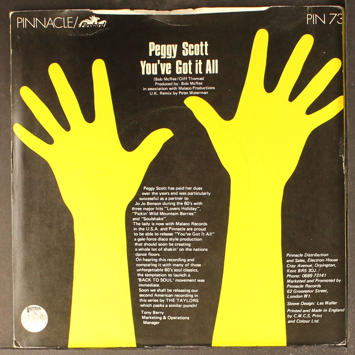 you've got it all by PEGGY SCOTT