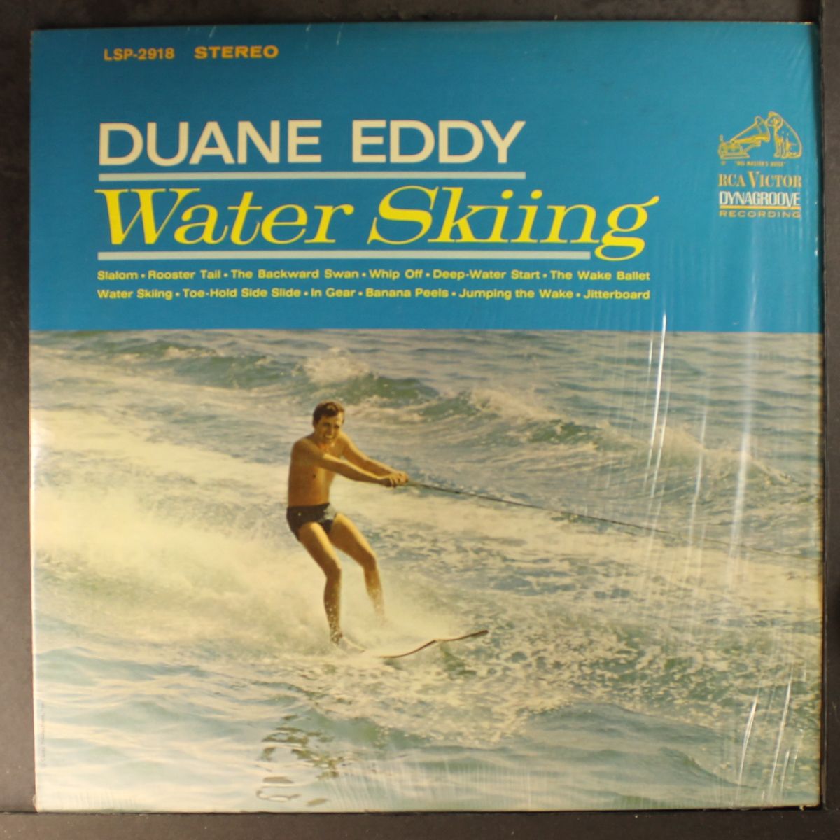 water skiing by DUANE EDDY