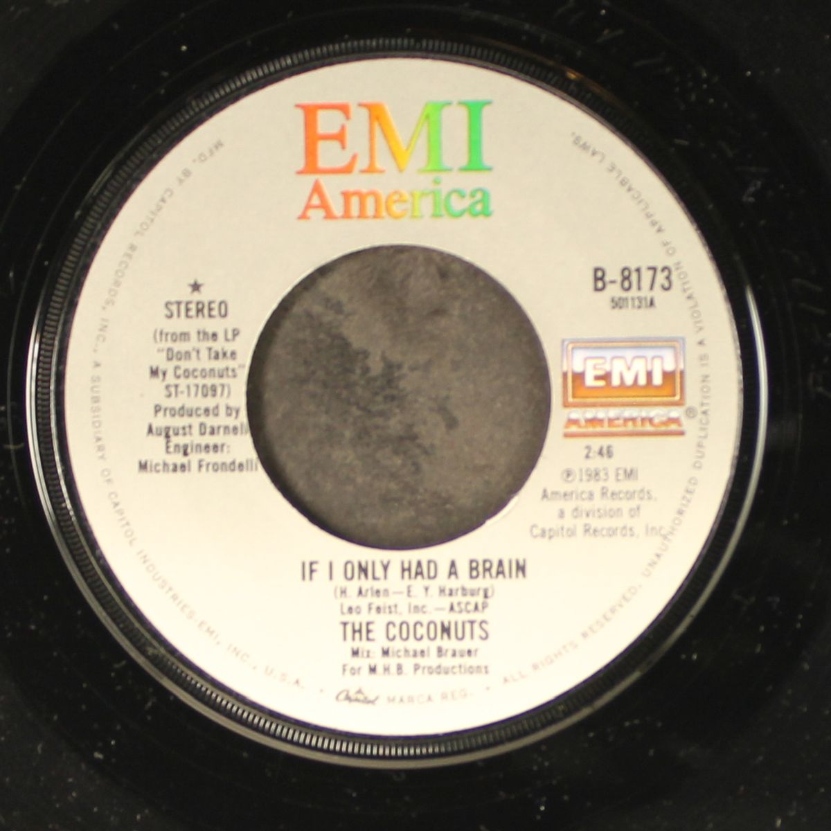 if i only had a brain / indiscreet by COCONUTS