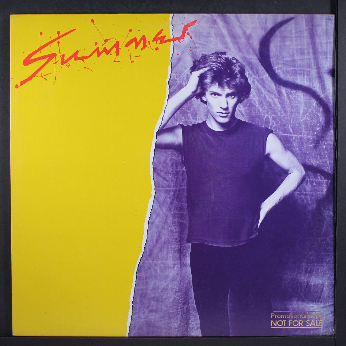 sumner by SUMNER