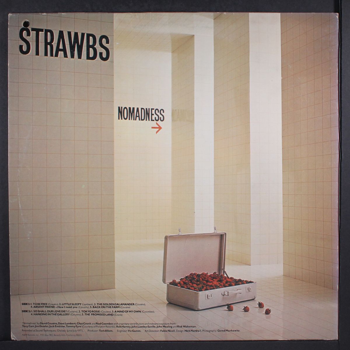 nomadness by STRAWBS