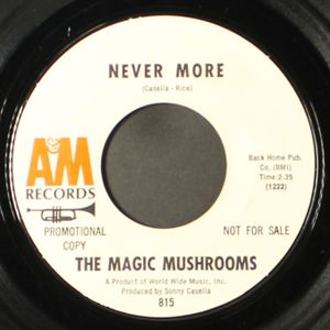 MAGIC MUSHROOMS