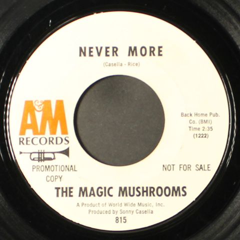 MAGIC MUSHROOMS