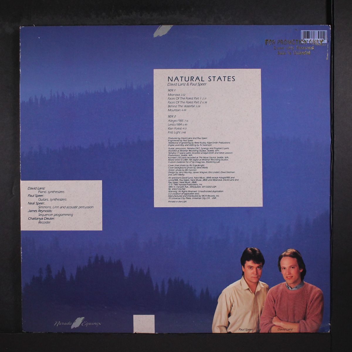 natural states by DAVID LANZ & PAUL SPEER