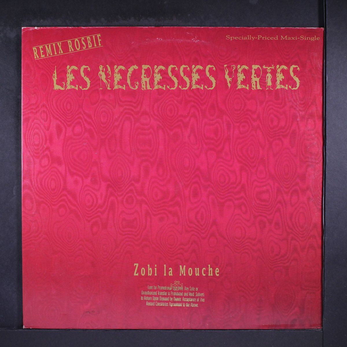 zobi la mouche by LES NEGRESSES VERTES