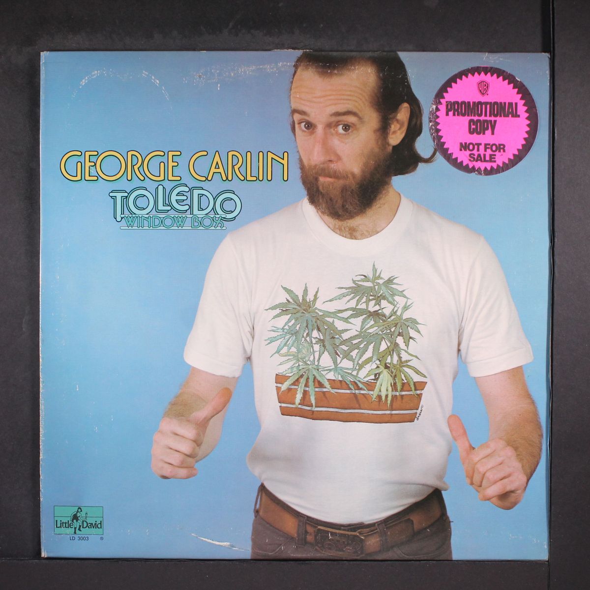 toledo window box by GEORGE CARLIN