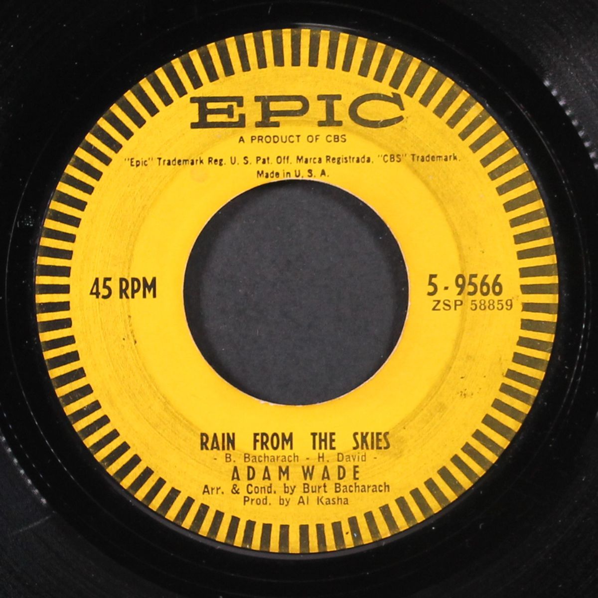 rain from the skies / don't let me cross over by ADAM WADE