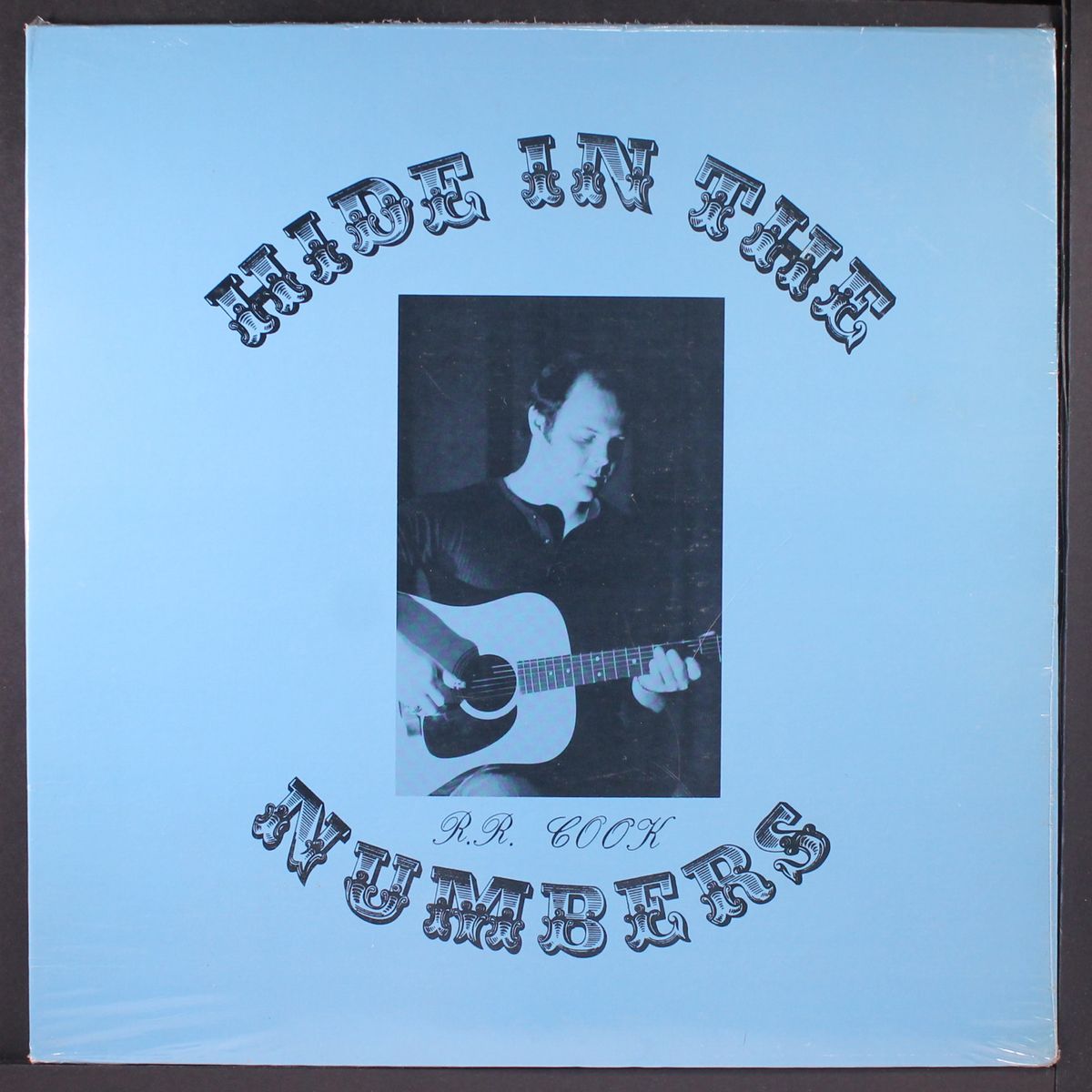 hide in the numbers by R.R. COOK