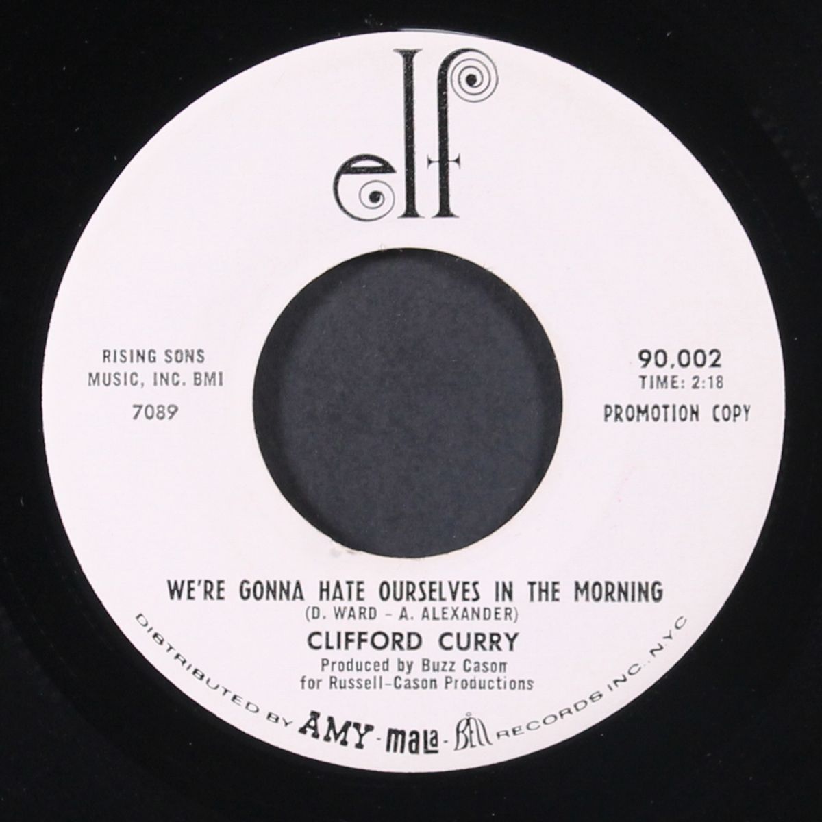 she shot a hole in my soul / we're gonna hate ourselves in the morning by CLIFFORD CURRY