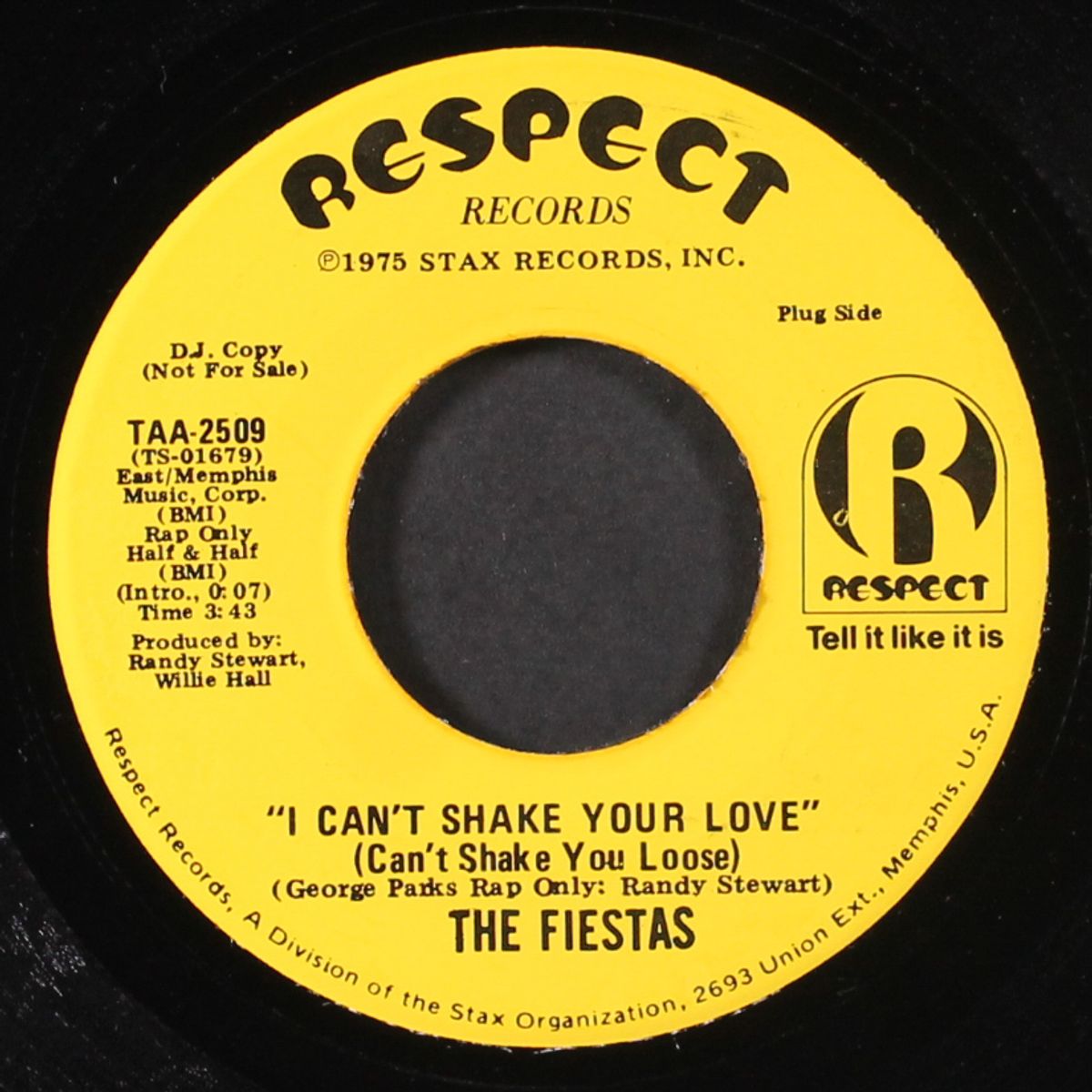 i can't shake your love / sometimes storm by FIESTAS