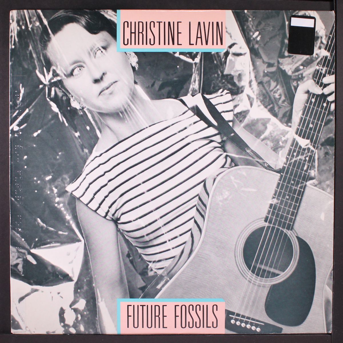 future fossils by CHRISTINE LAVIN