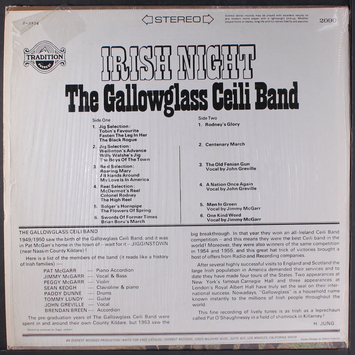 irish night by GALLOWGLASS CEILI BAND
