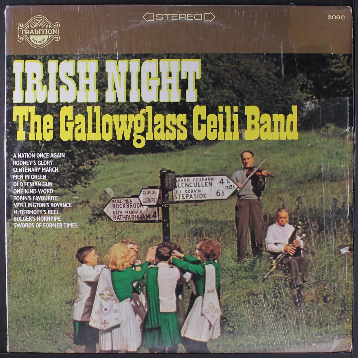 irish night by GALLOWGLASS CEILI BAND