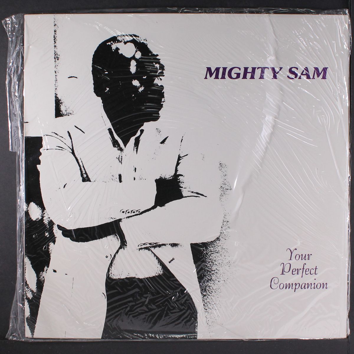 your perfect companion by MIGHTY SAM