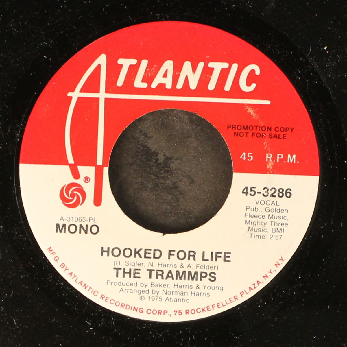 hooked for life / mono by TRAMMPS