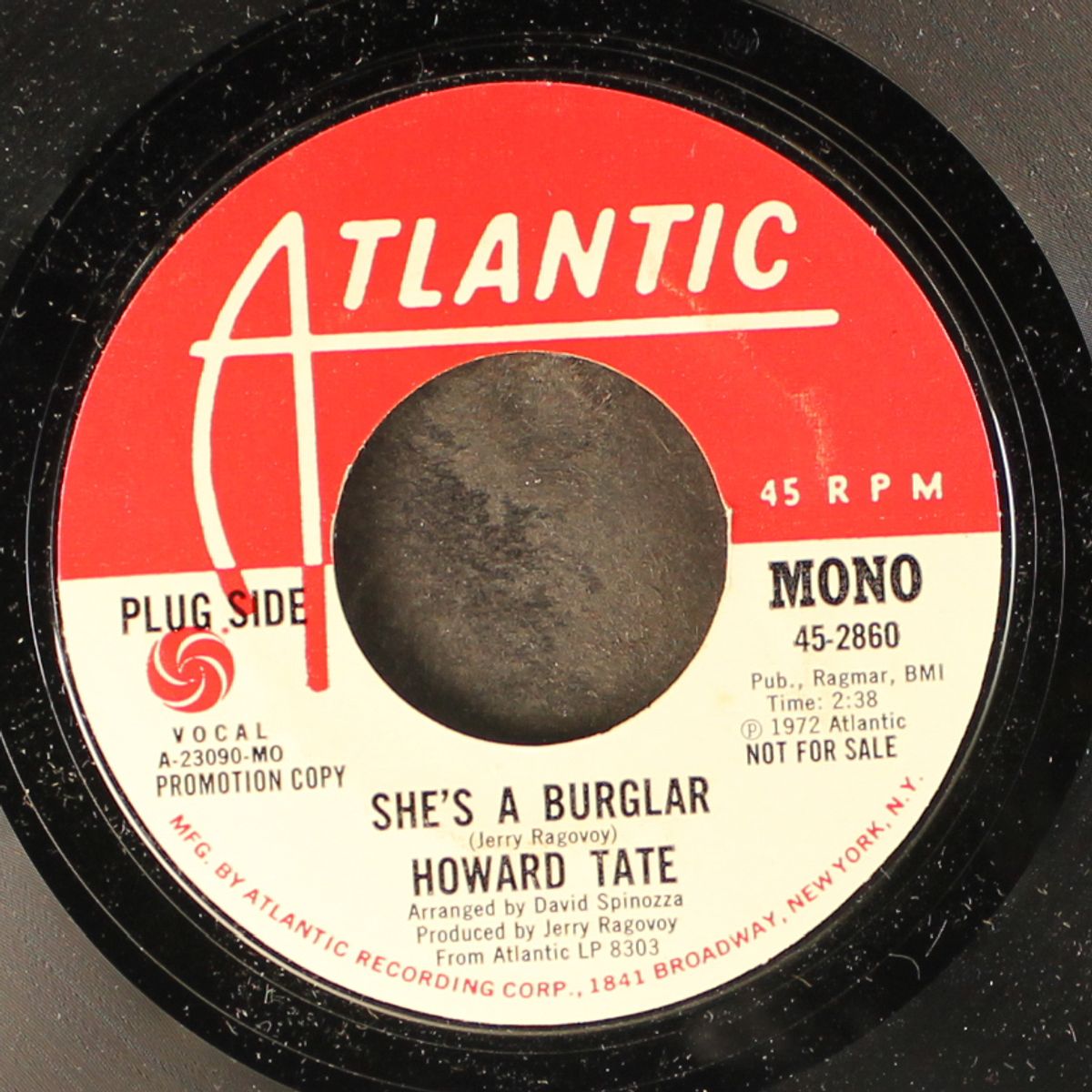 she's a burglar / mono by HOWARD TATE
