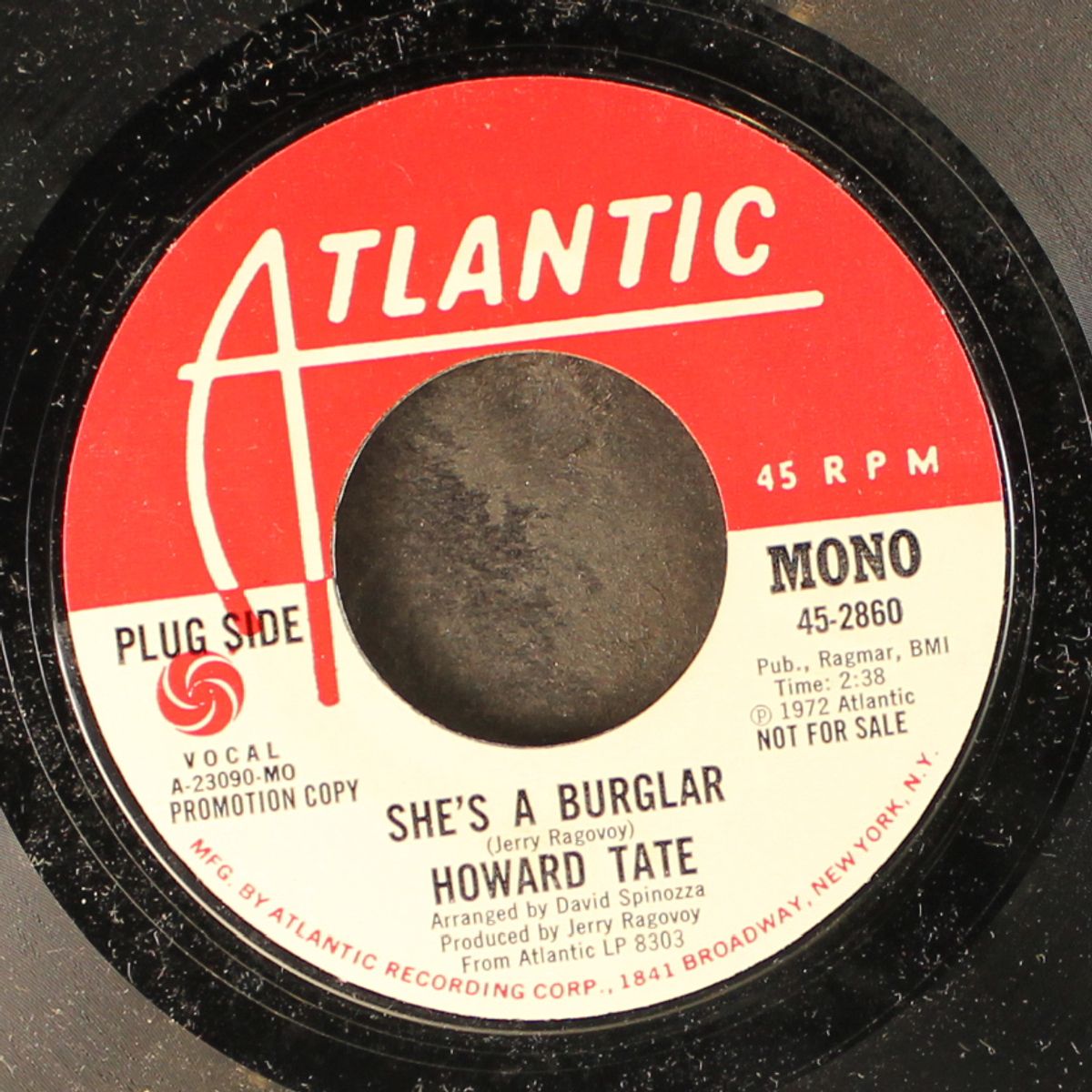she's a burglar / mono by HOWARD TATE