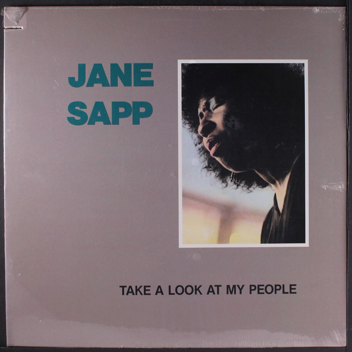 take a look at my people by JANE SAPP