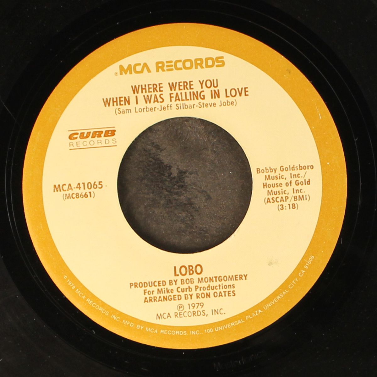 where were you when i was falling in love / i don't wanna make love anymore by LOBO