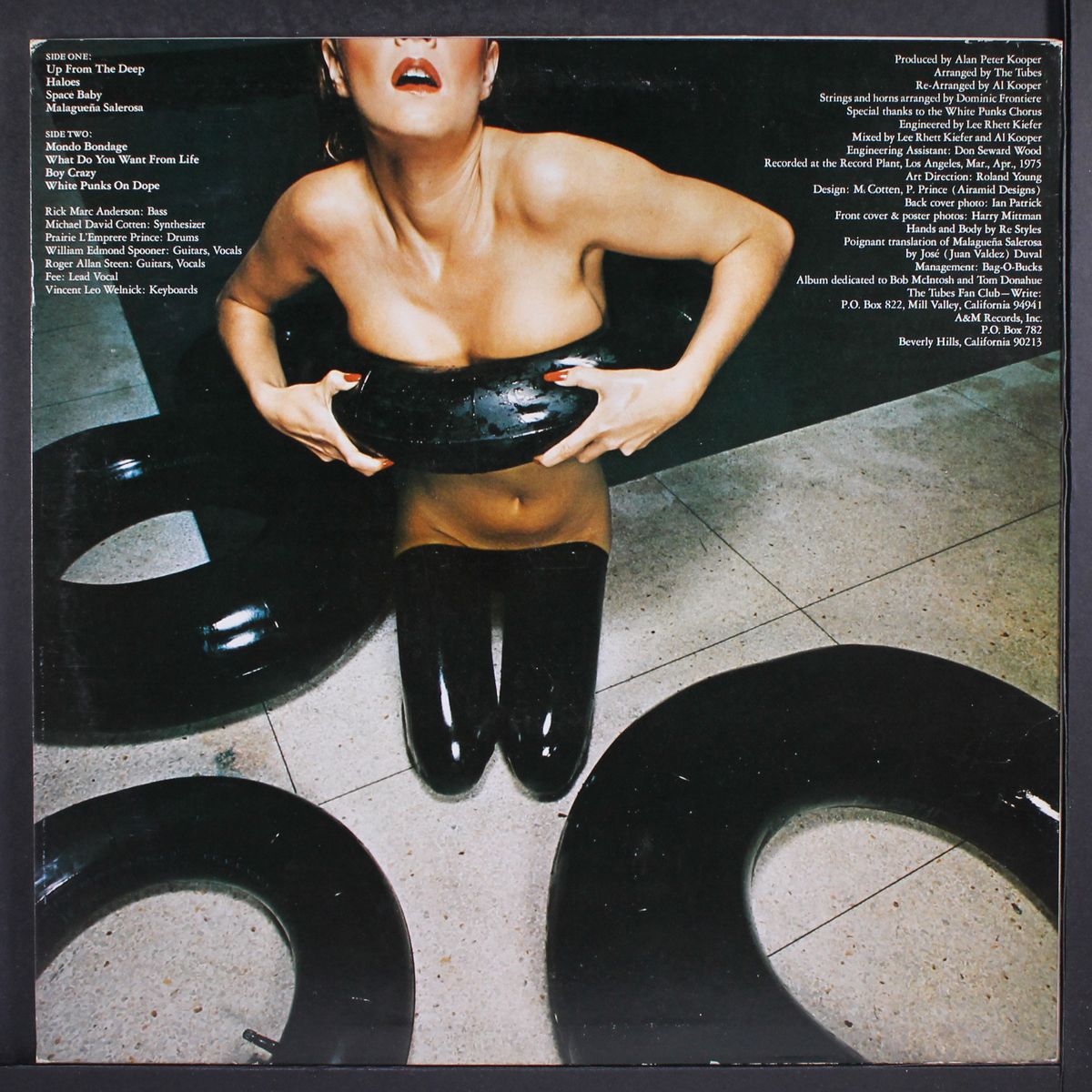 the tubes by TUBES