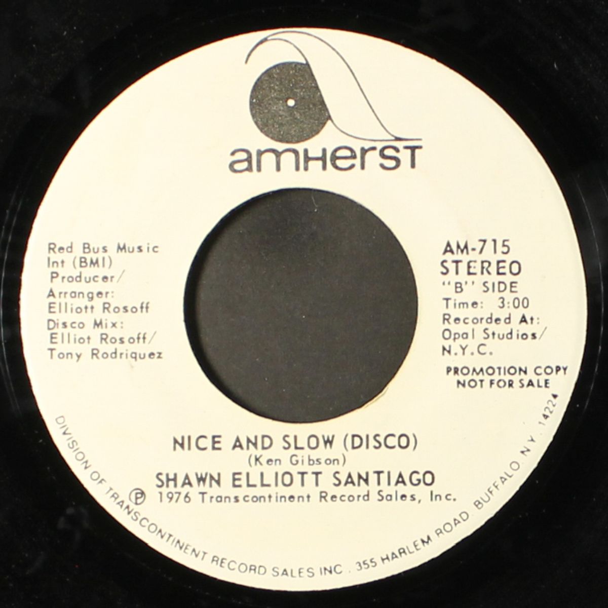 nice and slow / disco version by SHAWN ELLIOTT SANTIAGO